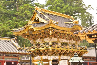 DSC_3878 (Large).JPG